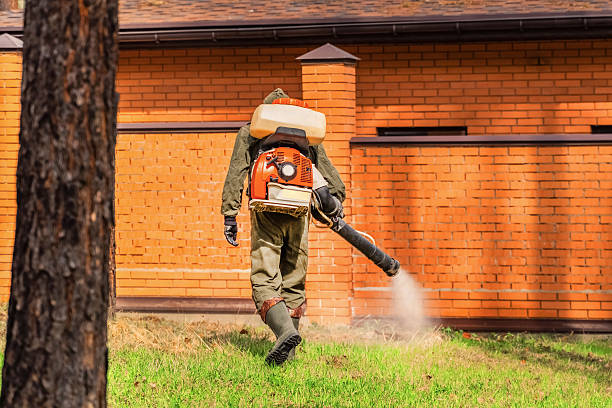 Trusted Bed Bug Control service in Waipahu, HI - Nex Pest Control